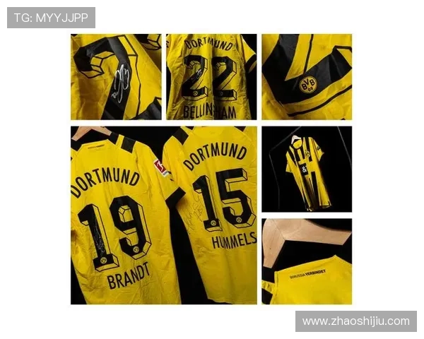 普鲁士多特蒙德足球俱乐部的辉煌历程与未来展望