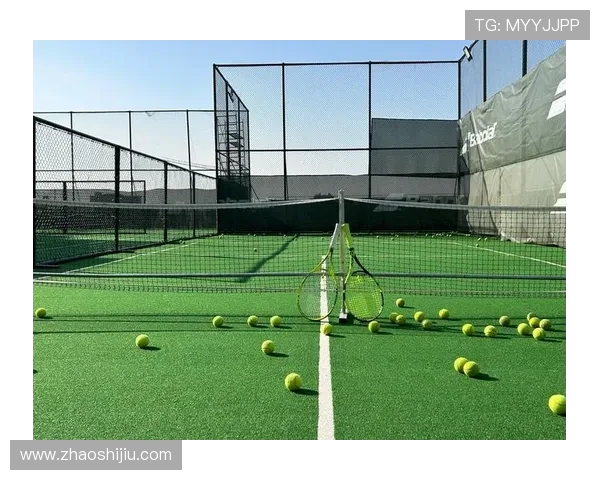 红土与草地网球场地特性对比及其对比赛策略的影响分析