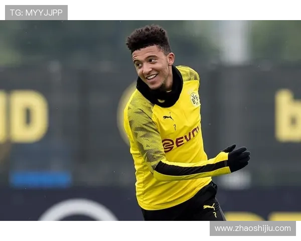 普鲁士多特蒙德俱乐部：历史荣耀与未来挑战并肩前行